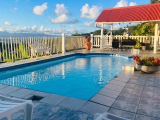 Appartement charmant à Rivière-Pilote avec piscine privée - 4