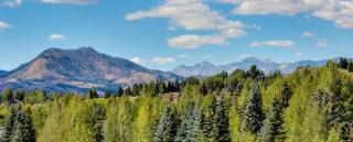 Dollar Meadows 1383 - 9