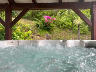 Villa confortable à Les Trois-Îlets avec piscine privée - 3