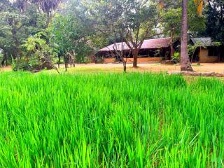 Kamatha Eco Lodge - 8