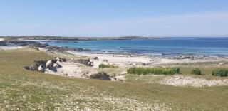 Little Tara, Ballyconneely - 6