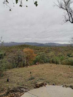 WildWood Accommodation - 5