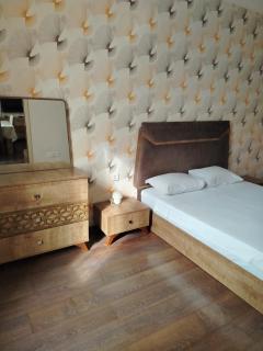 City Center Nizami Apartment - 1