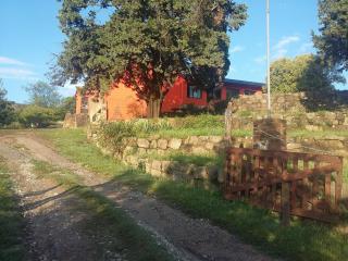 Hostel Aneley - Tanti - 5