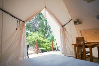 Thornwood Glamping Yala - 6