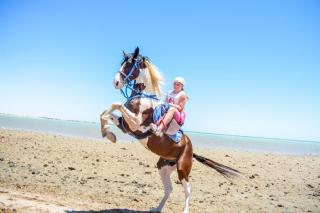 Hurghada and Fun - 3