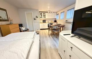 Cosy studio apartment in downtown Reykjavik - Birta Rentals - 7