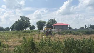 Shyam Niwas Farm Stay - 8