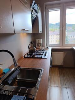 Parkowa View - Apartament w Centrum Krynicy - 2