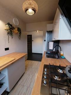 Parkowa View - Apartament w Centrum Krynicy - 1