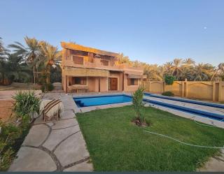 Amenzo Eco Lodge Siwa - 7