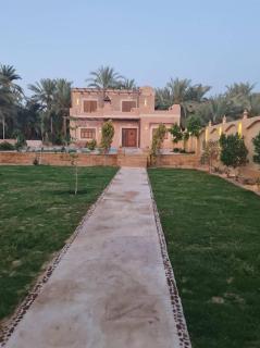 Amenzo Eco Lodge Siwa - 6