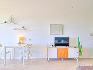 Studio Spacieux à Saint-Martin avec Terrasse et Cuisine Équipée - 1