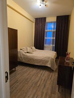 Cozy apartment opposite the Botanical Garden - 2