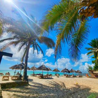 Mambo Ocean Resort - 0