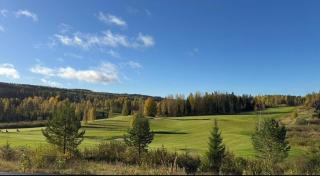 Himos Hetki 1A, Tasokas huvila huippusijainnilla ja Golfpelioikeudella - 8