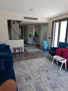 Efeoğlu ikiz villaları - 5