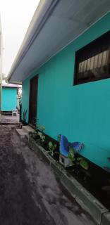 HOUSE Of Rainbow - Tortuguero - 9