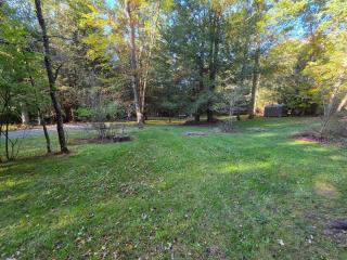 Black Bear Hideaway Cabin #6 - 4