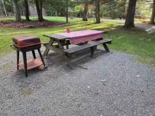Black Bear Hideaway Cabin #6 - 1