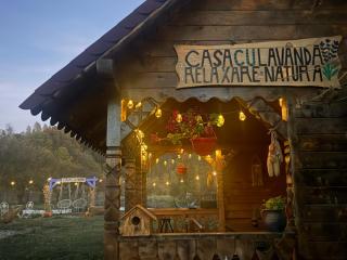 Casa cu Lavanda - 8
