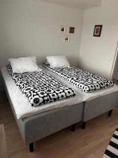 Night Sky - IVALO, Modern apartment in the city center - 8