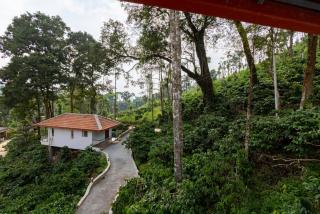 Black Forest Cottage - 0