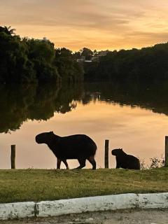 Vista para a lagoa e varanda , perto da bacutia - 6