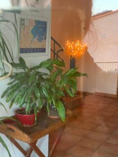 Banyuls La Grande Bleue : studio T1 - 3