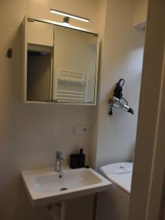 Velký Apartmán 66m2 v centru města Praha - 1