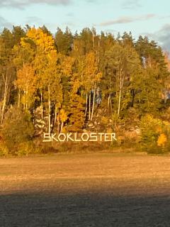 Skokloster nära till allt - 9