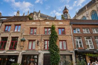 Het Kathedraalhuis Goudblomme - Antwerpen - 9