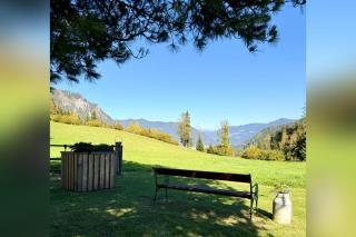 Salzleckerhof - 7