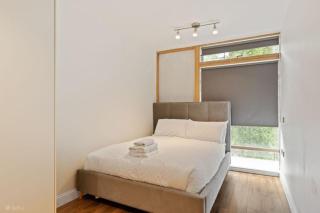Modern City Centre Apt with Balcony in Dublin 1 - 8