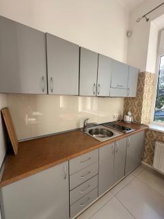 Luxury Apartment in Druskininkai - 7