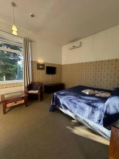 Luxury Apartment in Druskininkai - 6