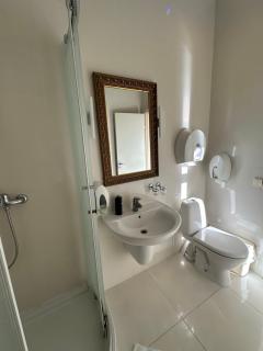 Luxury Apartment in Druskininkai - 5
