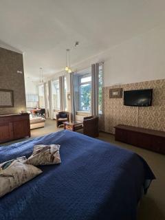 Luxury Apartment in Druskininkai - 2