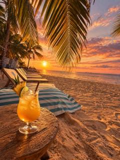 Hotel CasaRoof Rooftop Beach Club - Las Terrenas - 8