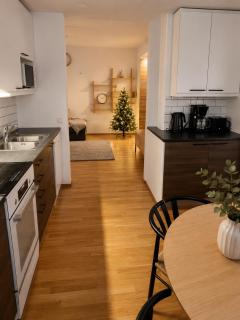 Arctic Aurora Suite - 2