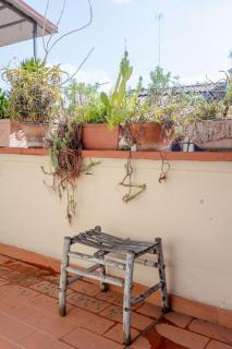Firenze panorama Suite & terrace - 1