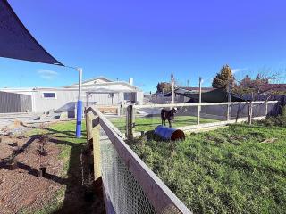 Te Nikau BnB Wairoa - 8