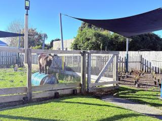 Te Nikau BnB Wairoa - 5