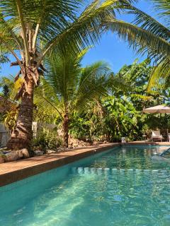 Tarapoto Relax or Work Nomad Wifi Starlink - 1