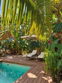 Tarapoto Relax or Work Nomad Wifi Starlink - 2