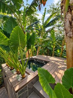 Tarapoto Relax or Work Nomad Wifi Starlink - 4