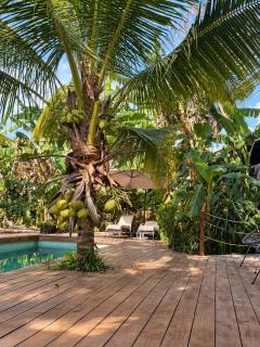 Amazon Paradise WiFi Starlink Work or Relax - 0