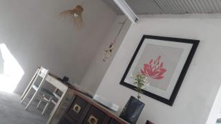 Los algarrobo - 4