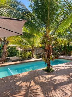 Amazon Paradise WiFi Starlink Work or Relax - 7