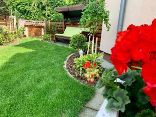Apartments in Siofok - Balaton 51876 - 1